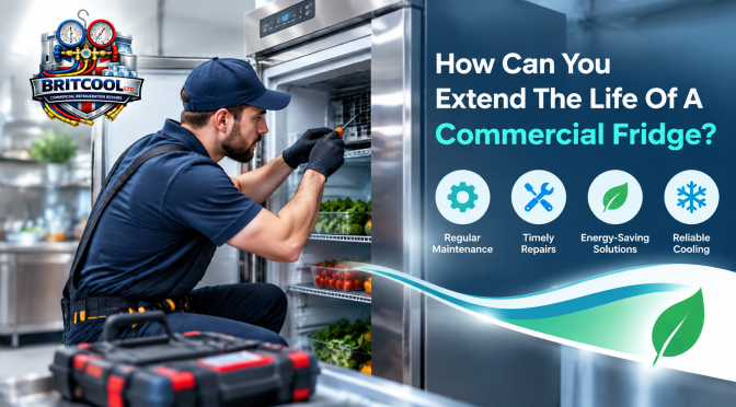 Britcool Commercial Fridge Care Guide